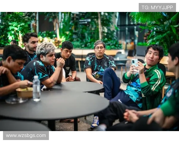 WE战队在DOTA2赛场的经验革新与战术演变探讨 WE战队在DOTA2赛场的经验革新与战术演变探讨