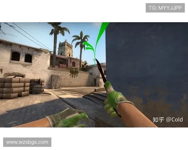 CSGO战术解析:WE战队包夹体系的运用与实战技巧探讨 CSGO战术解析:WE战队包夹体系的运用与实战技巧探讨