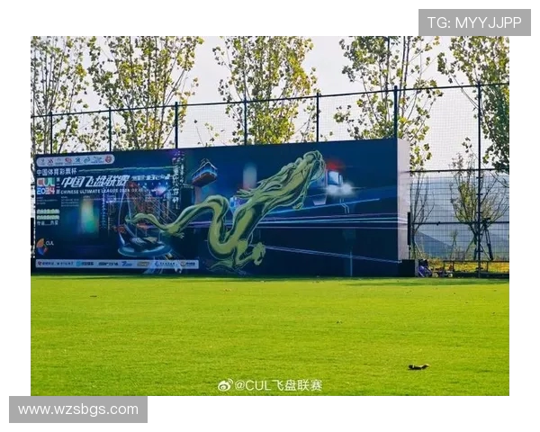 广州飞盘队与南京飞盘队赛后战术分析与复盘总结