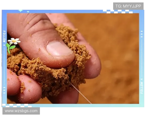 攀岩新手必看：从基础技巧到战术策略的全面指南