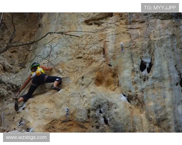 杭州攀岩队进攻表现分析与战术得失全面解读