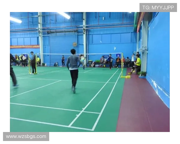 羽毛球力量榜单揭晓北京羽毛球队荣登第六名展现实力与潜力 羽毛球力量榜单揭晓北京羽毛球队荣登第六名展现实力与潜力