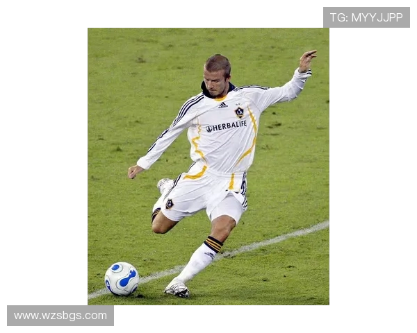 劳塔罗的崛起与挑战：从天才少年到世界足坛新星的奋斗之路