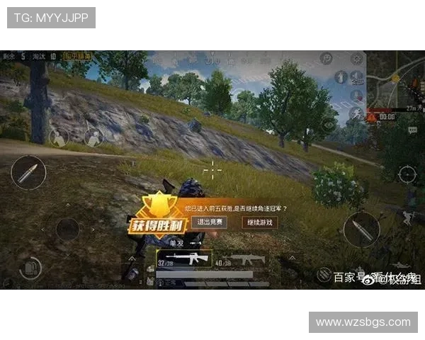 和平精英巨献：深入解析LNG战队的比赛策略与经验分享