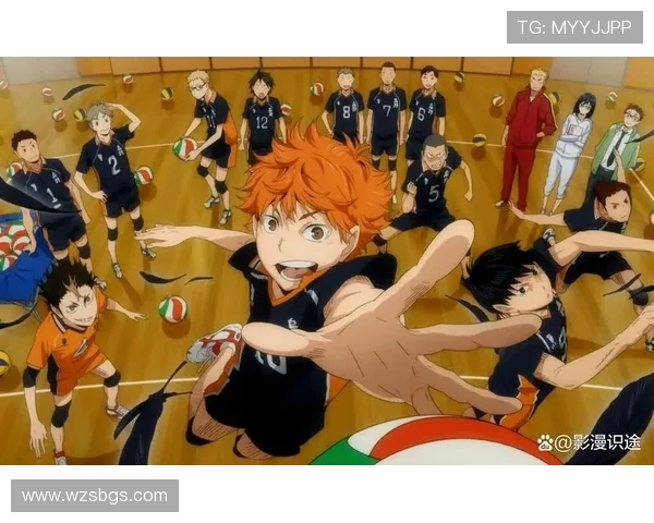 武汉排球队引领最新排球比赛经验TOP10分享与分析