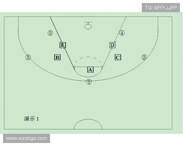 深入分析上海排球队区域防守战术的优势与应用