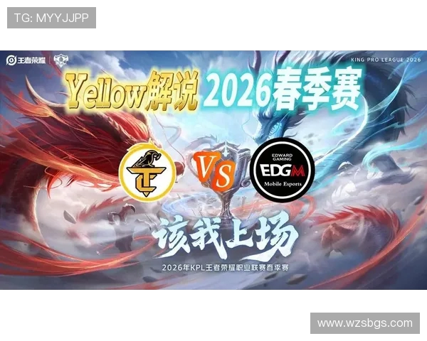 王者荣耀背后的故事：EDG战队的拼搏与荣耀之路