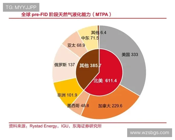 数据分析揭示LNG耐力表现的关键因素与市场趋势探讨